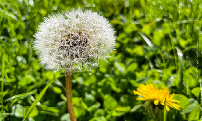 Der Kreislauf des Lebens...